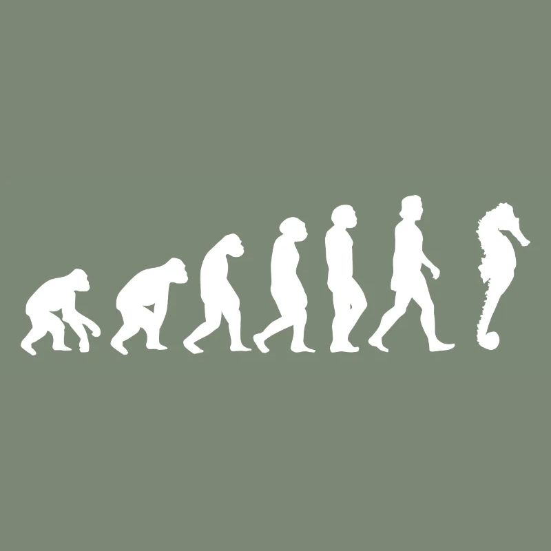Seepferdchen Meerestier Evolution der Menschen