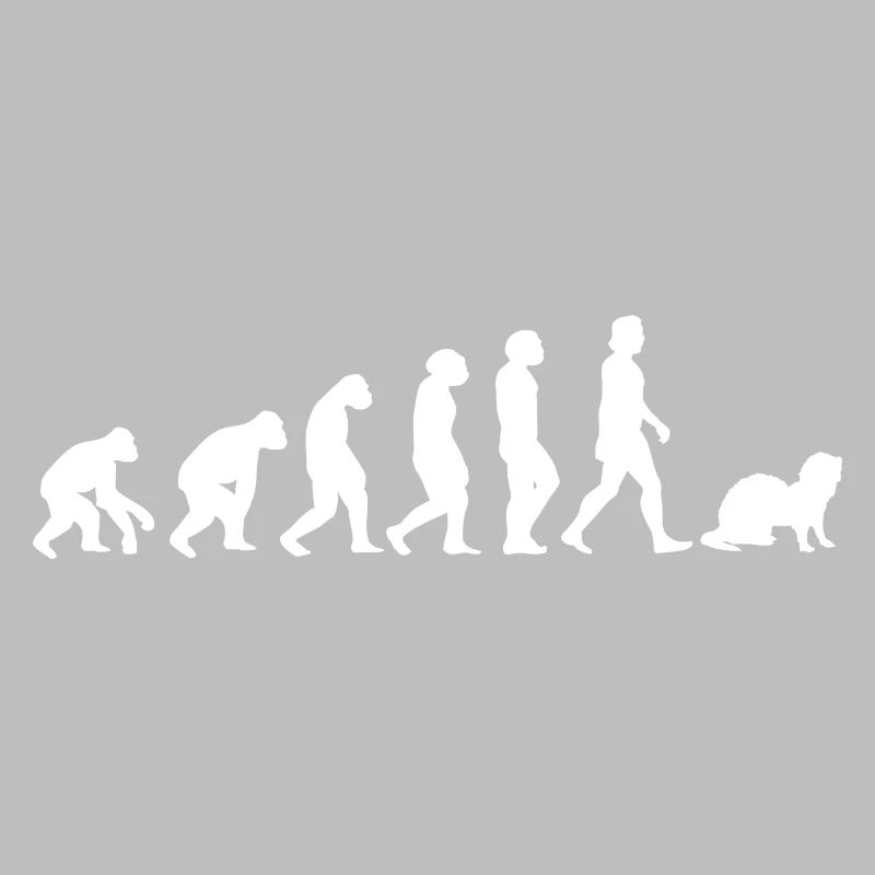 Furets Evolution des humains Animaux