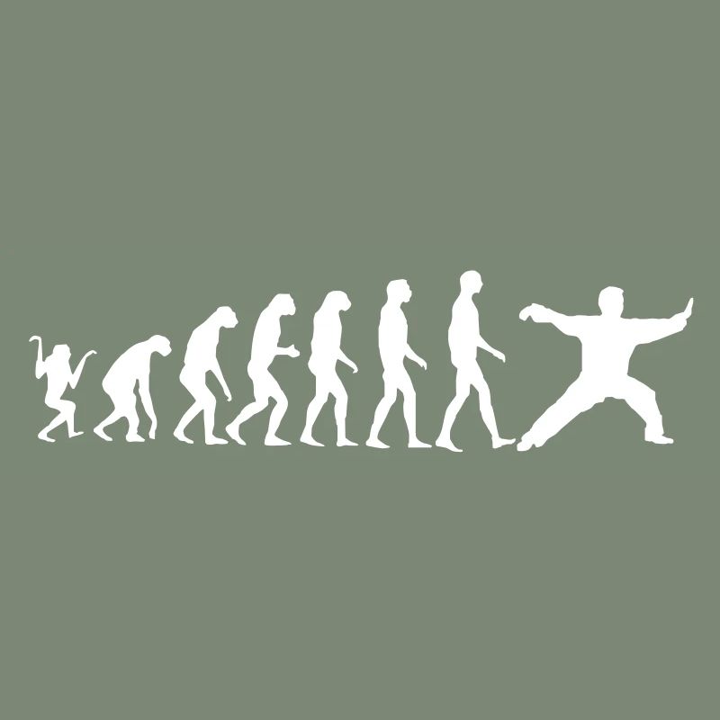 Taijiquan Chen Style Evolution