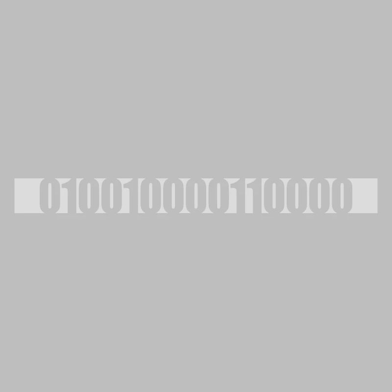 Langage de programme de code binaire