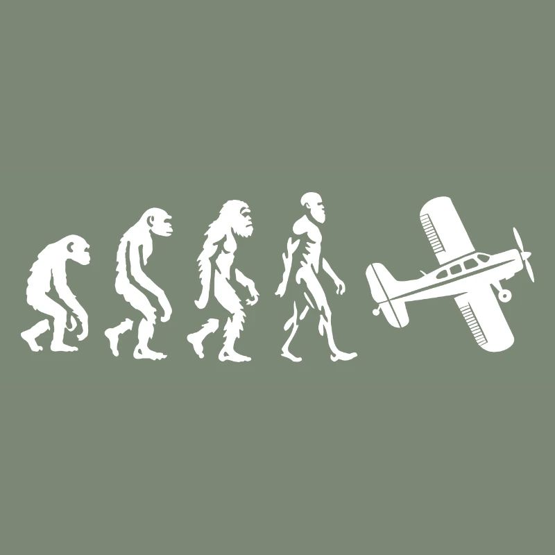 Evolutionary Airplain Flying Fun