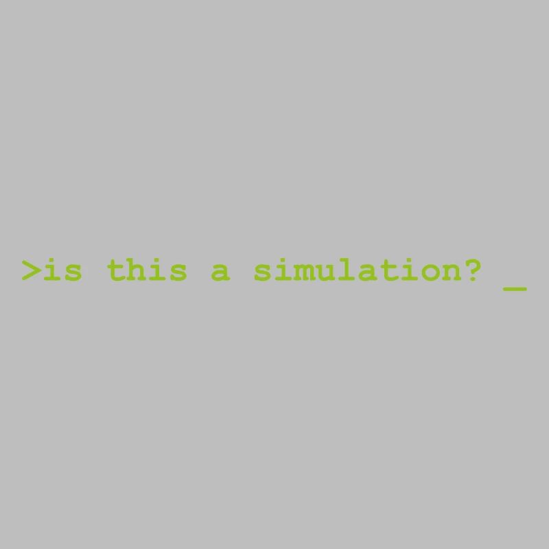 Is this a simulation Programming Informatik