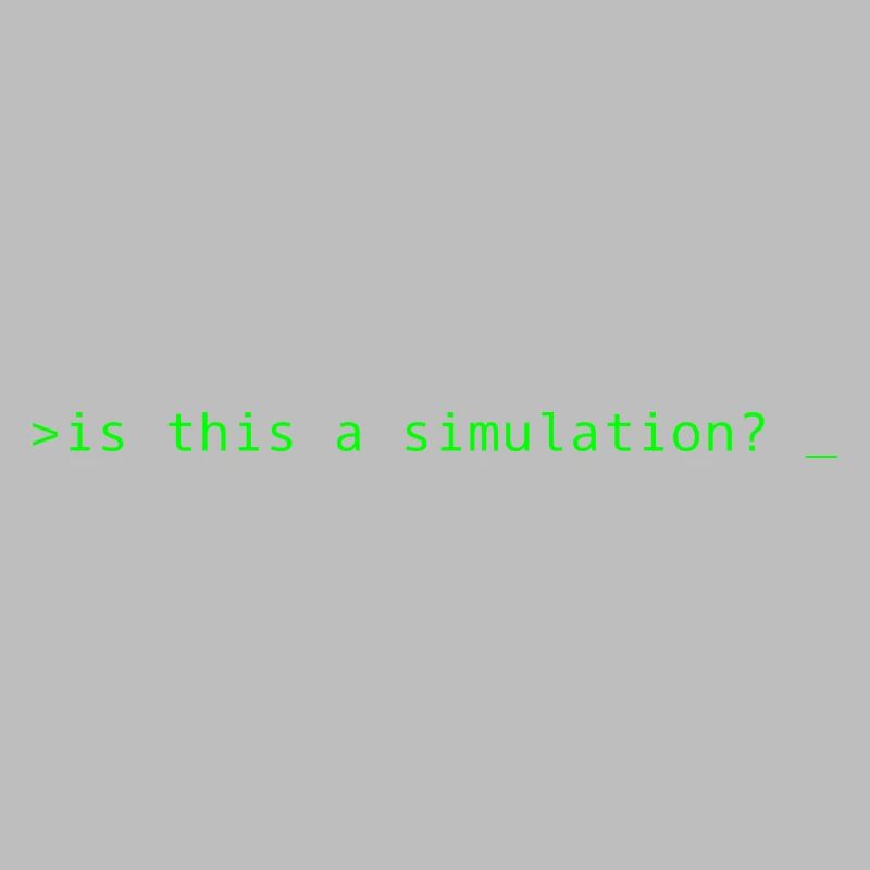 Simulation Programming Informatic Gift Saying