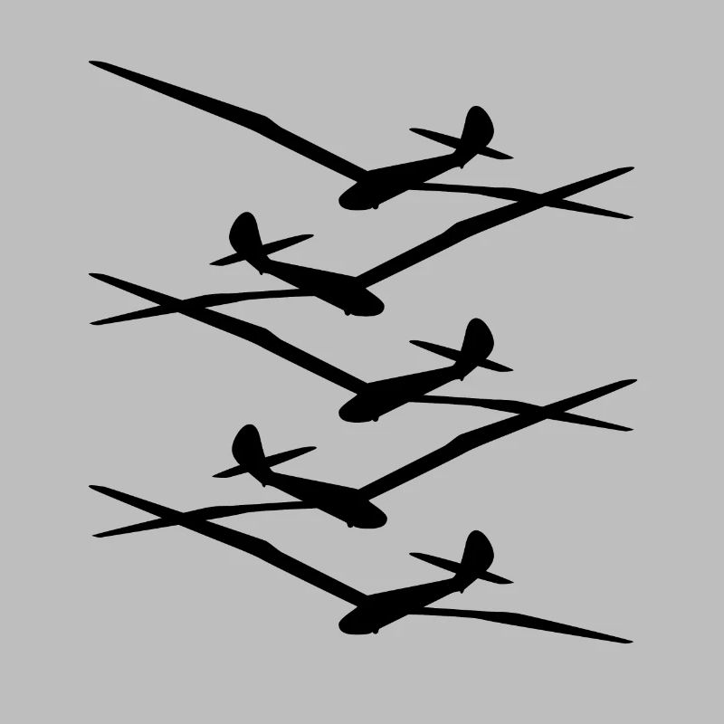 Glider Gliding Gliding Glider