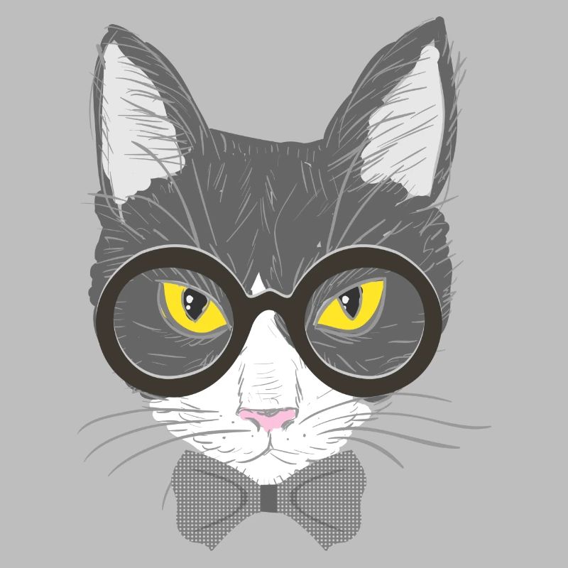 visage de chat