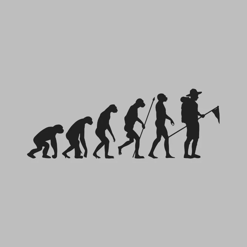 Scouts évolution