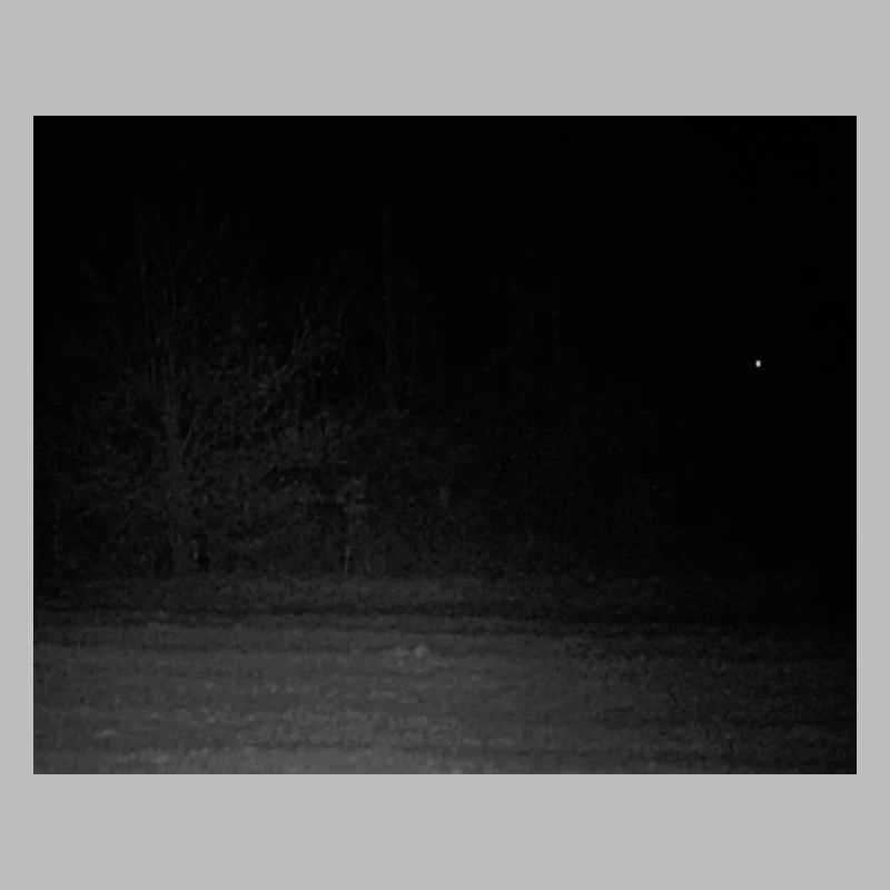 Créature effrayante dans la forêt