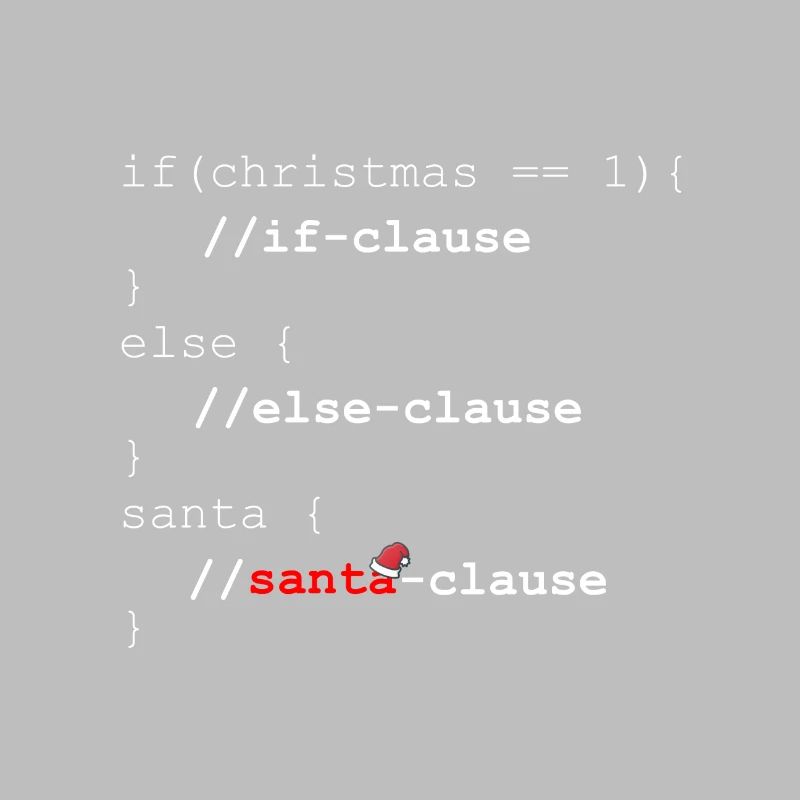 Santa Clause - Christmas programmer gift