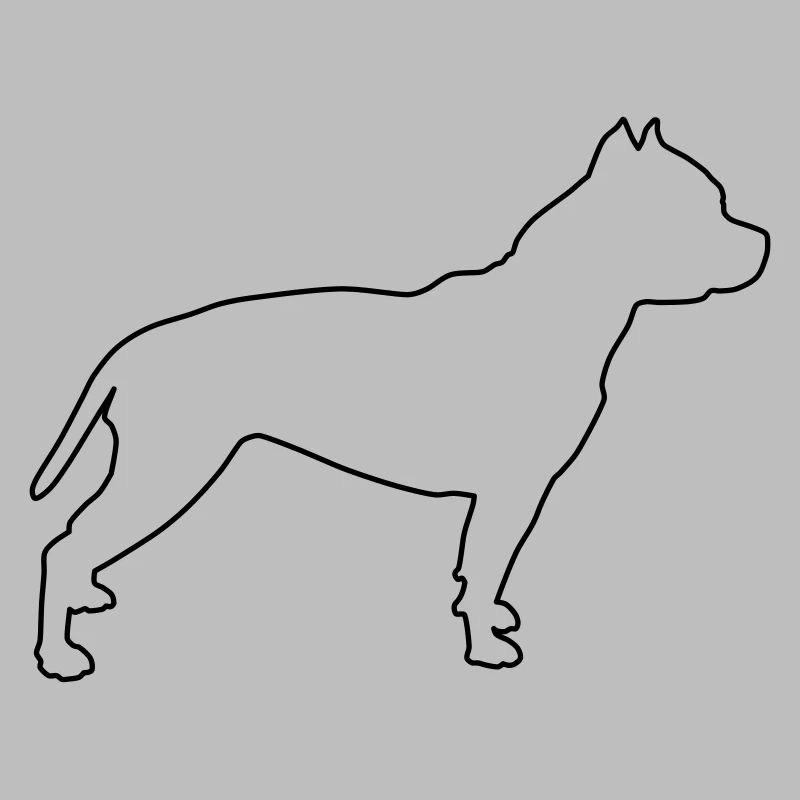 Contours de Pitbull 1
