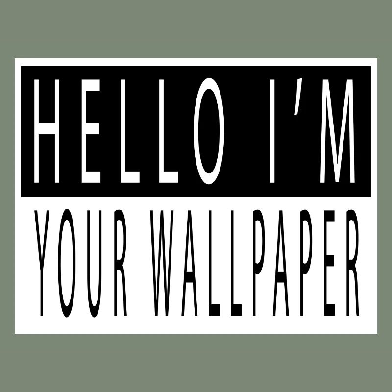 déclaration anonyme masque hacker citation présent