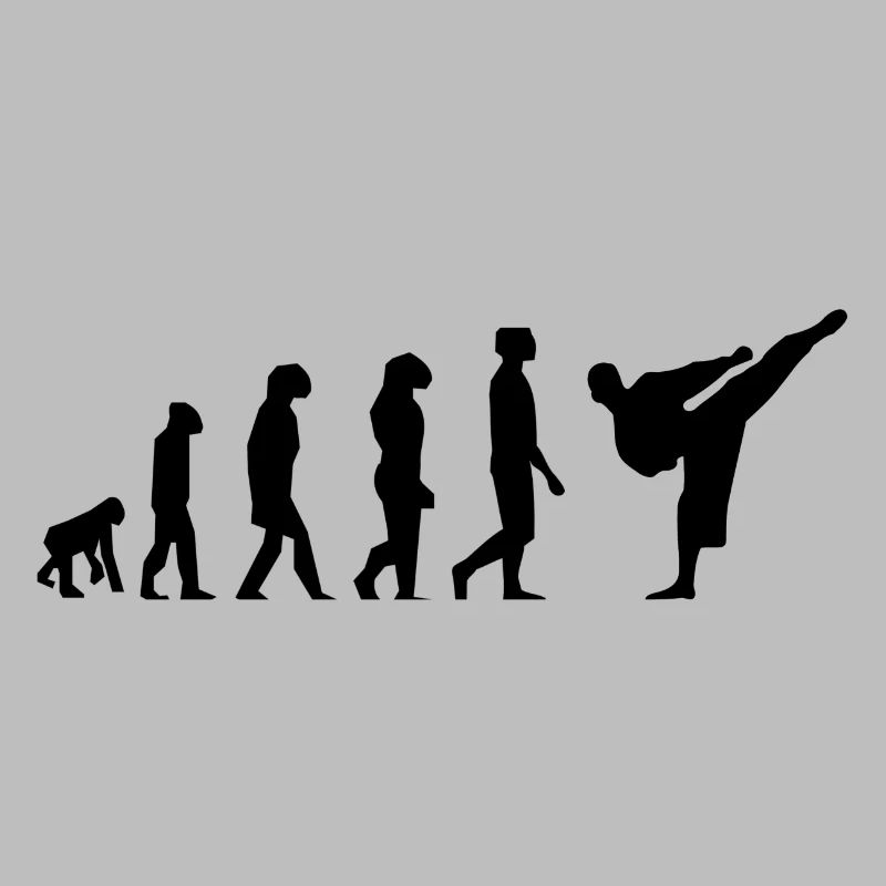 Karaté évolution