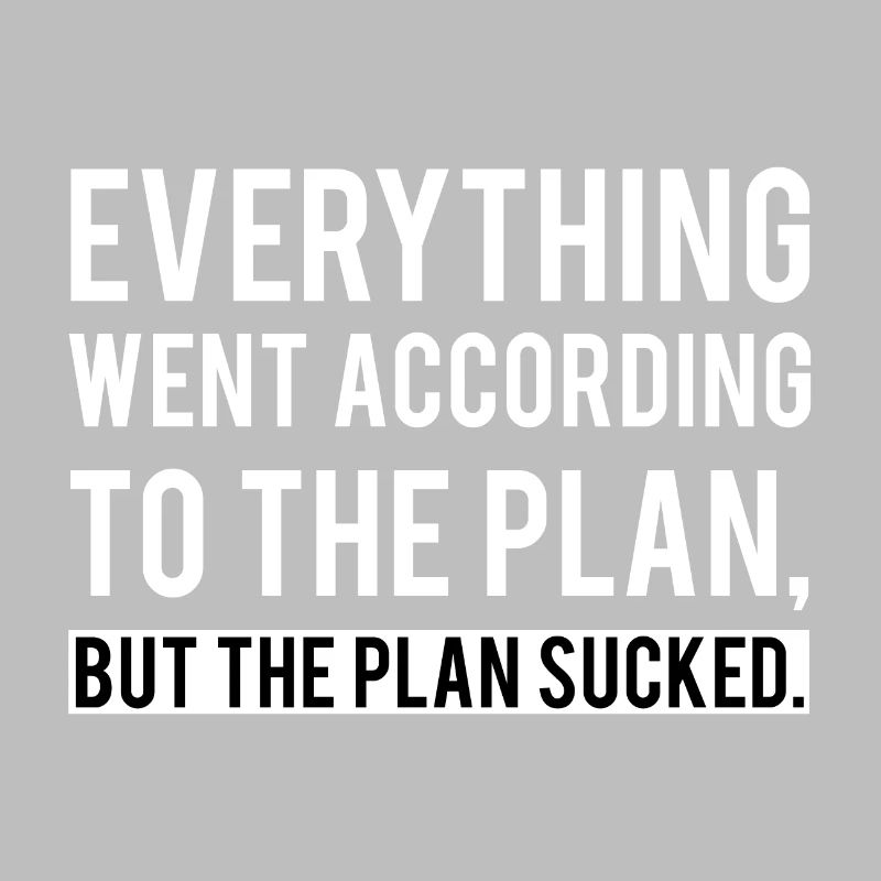 Everything went according to the plan / gift