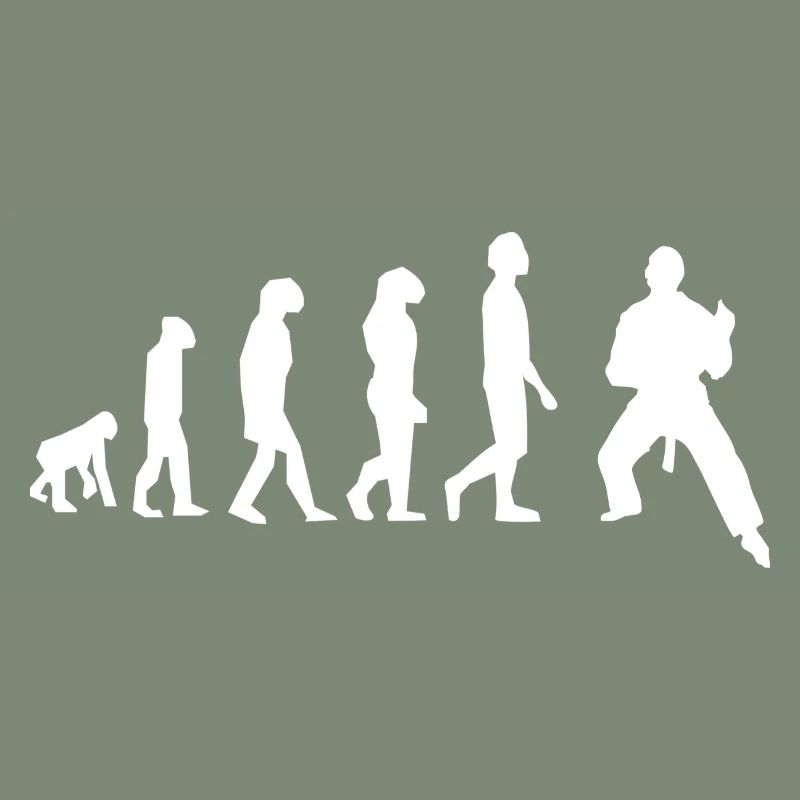 Art martiaux évolution