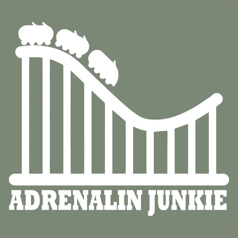 Rollercoaster Roller Coaster Amusement Park