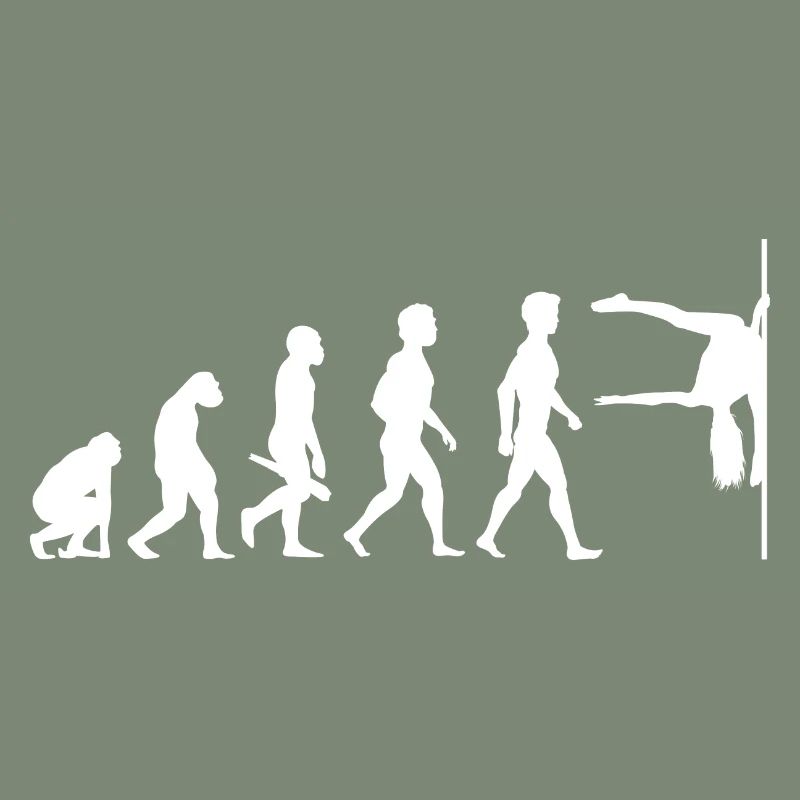 Evolution Poledance Pole Dancing Stange Tanzen