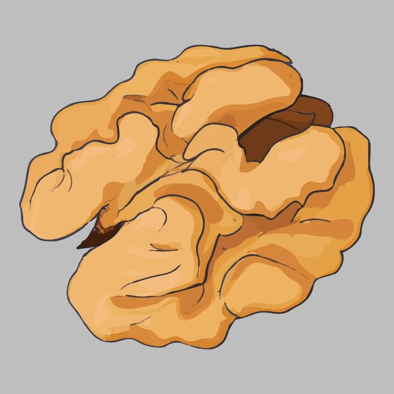 Walnut Illustration Gift Idea Nut Lovers