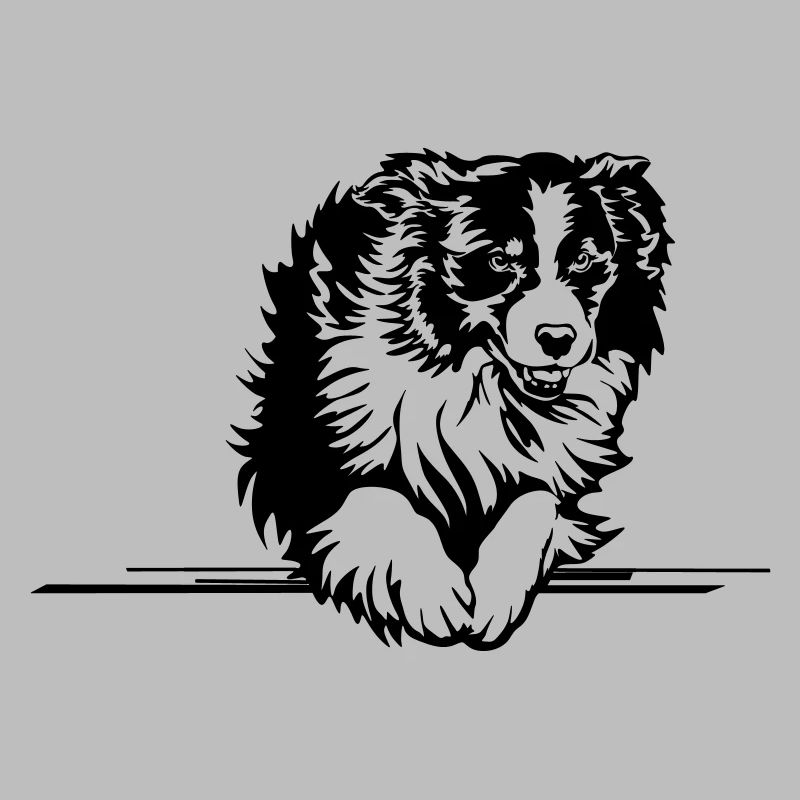 Australian Shepherd