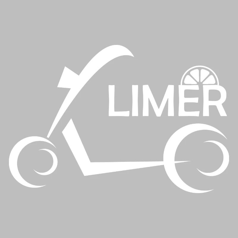 E-Scooter E-Roller Scooter