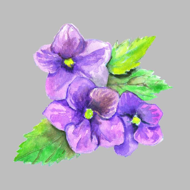 Three Violets