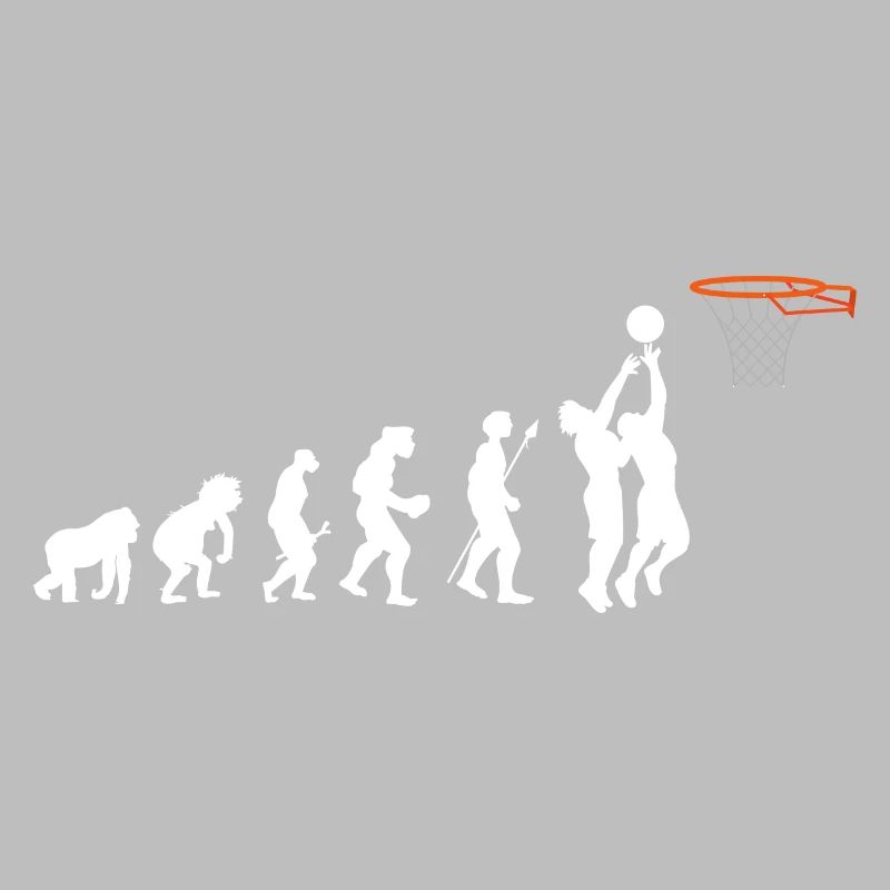 Basket-ball Evolution