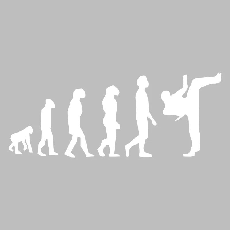 Art martiaux évolution