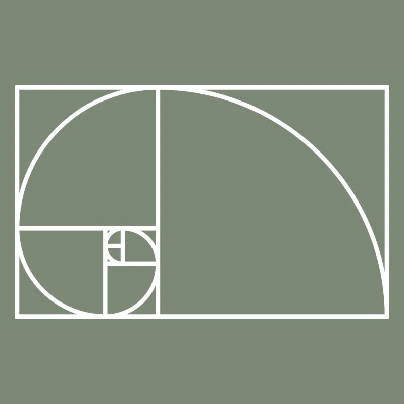 Fibonacci spiral math gift idea nerd