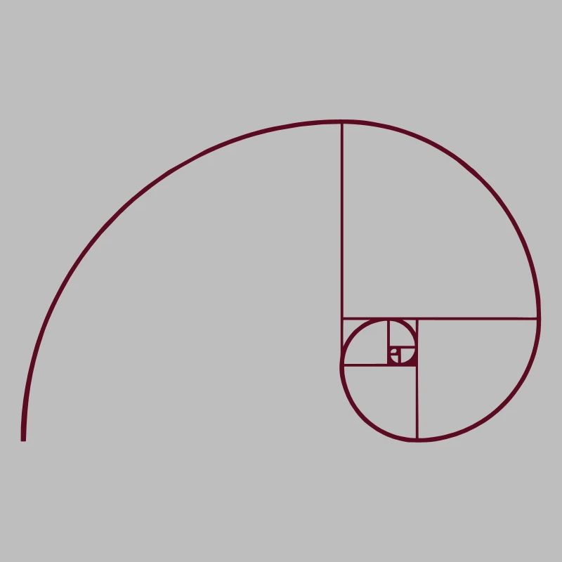 Spirale de Fibonacci, section doré, Phi, evolution