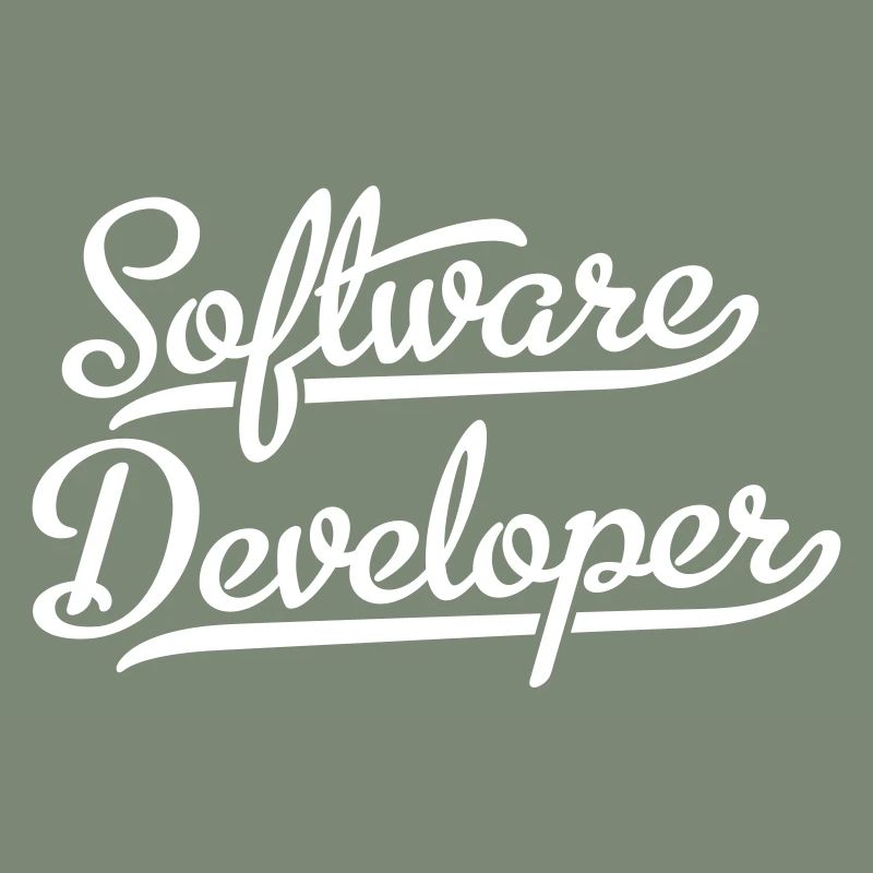 Software Developer