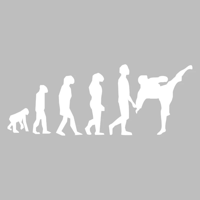 Art martiaux évolution