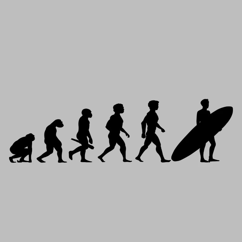 Evolution Surf Surfers surf surf