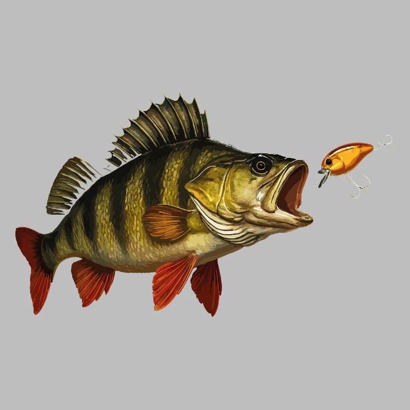 Perch at the Bite – Predatory Fish & Wobbler Design
