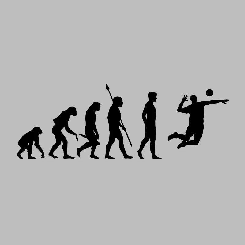 Volleyball Beach Volleyball Evolution