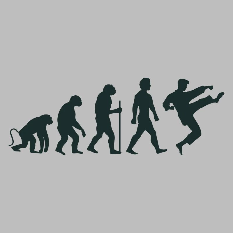 karate evolution