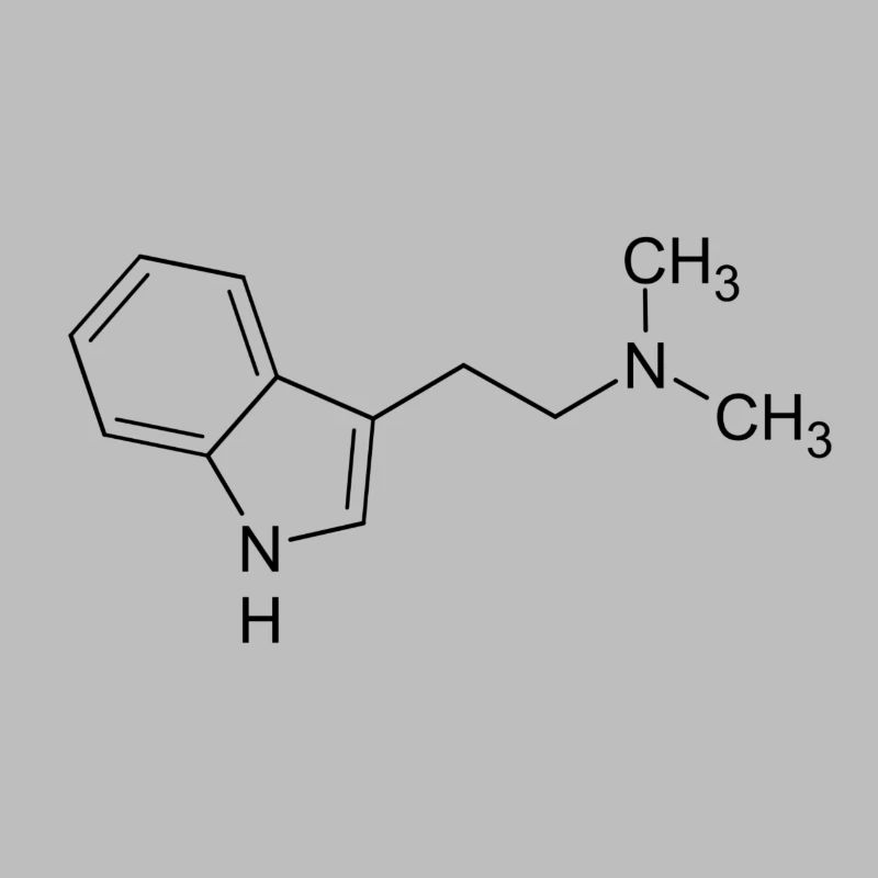 DMT dimethyltryptamine structural formula