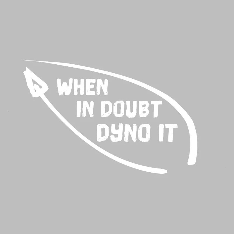 WHEN IN DOUBT DYNO IT Klettern bouldern Kletterer