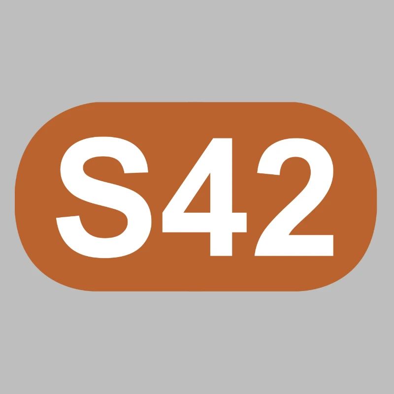 S-Bahn Berlin S42