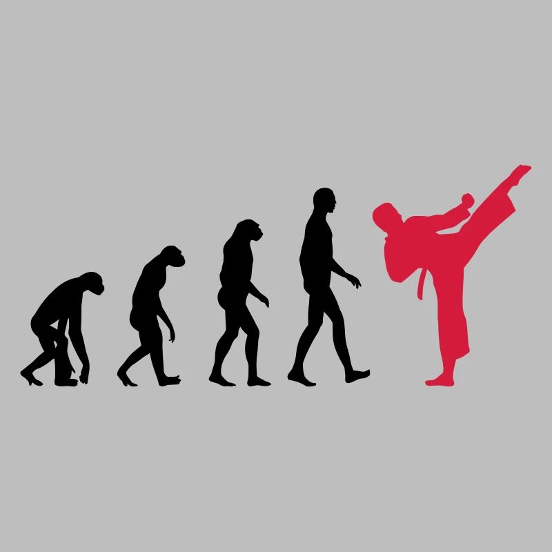 Karaté - Evolution
