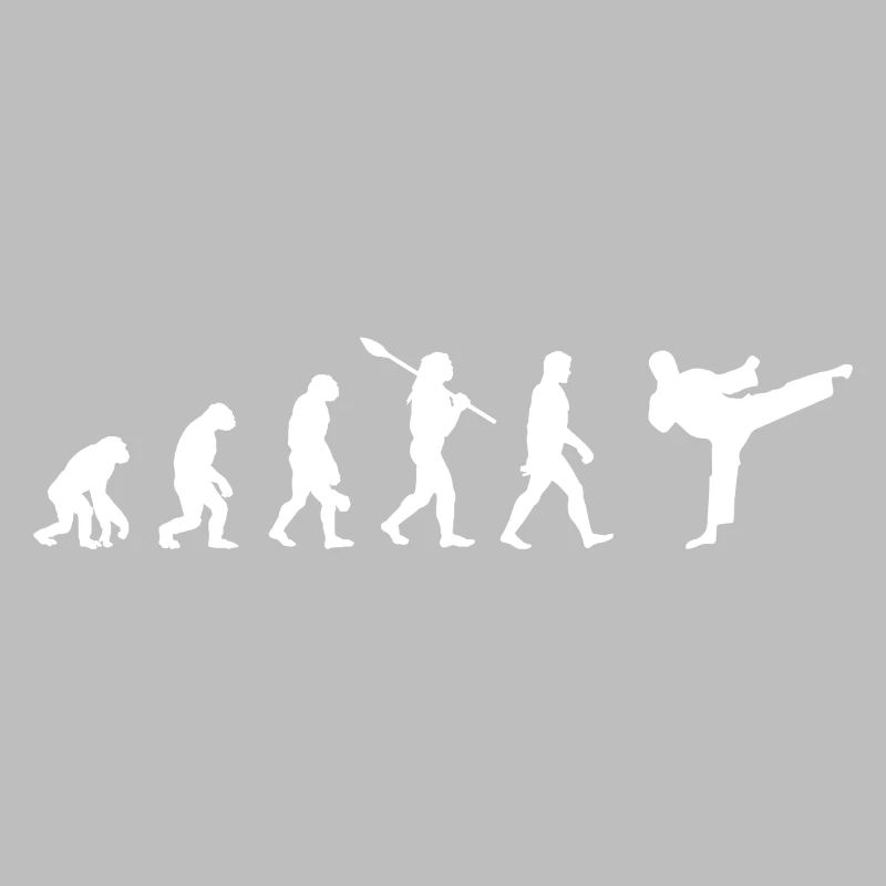 Taekwondo Évolution