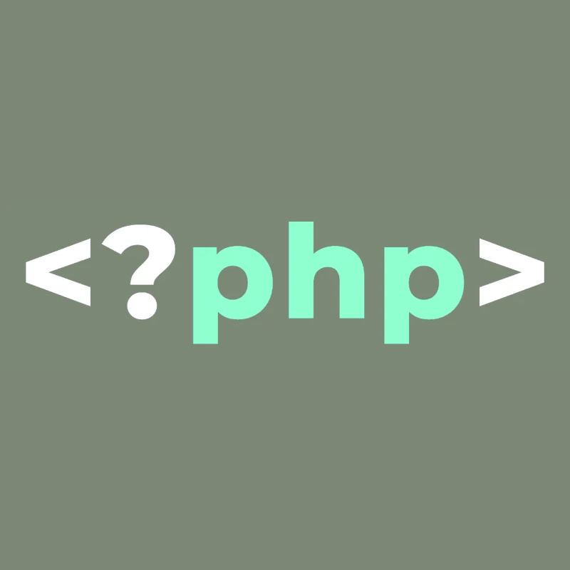 PHP Programmierer Softwareentwickler Shirt