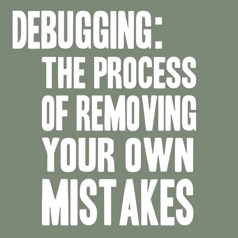 debugging process