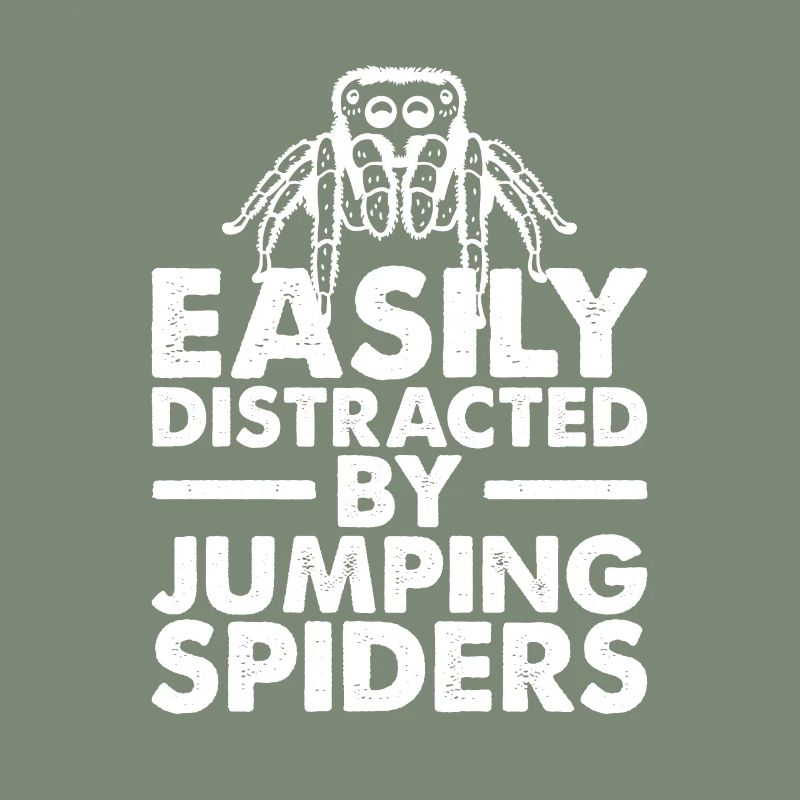 EAsily Distracted By Jumping Spiders, Spider