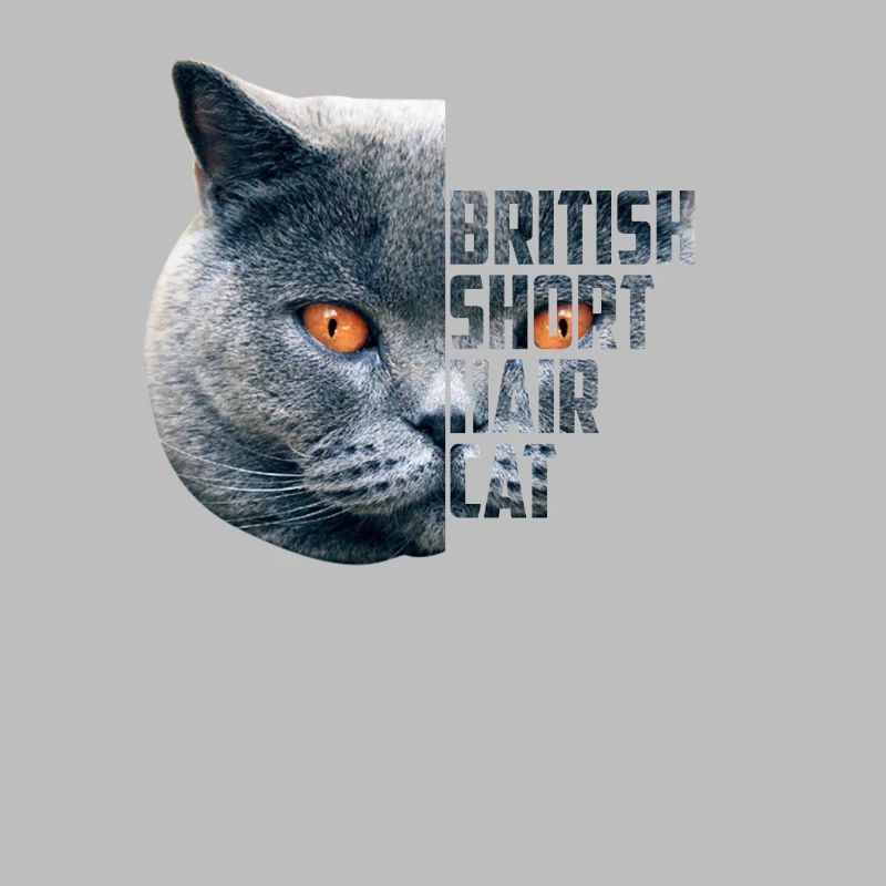 Britisch Kurzhaar Katze - BKH blue Geschenkidee