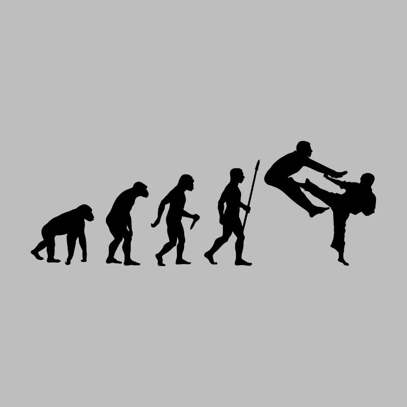 Évolution du karaté