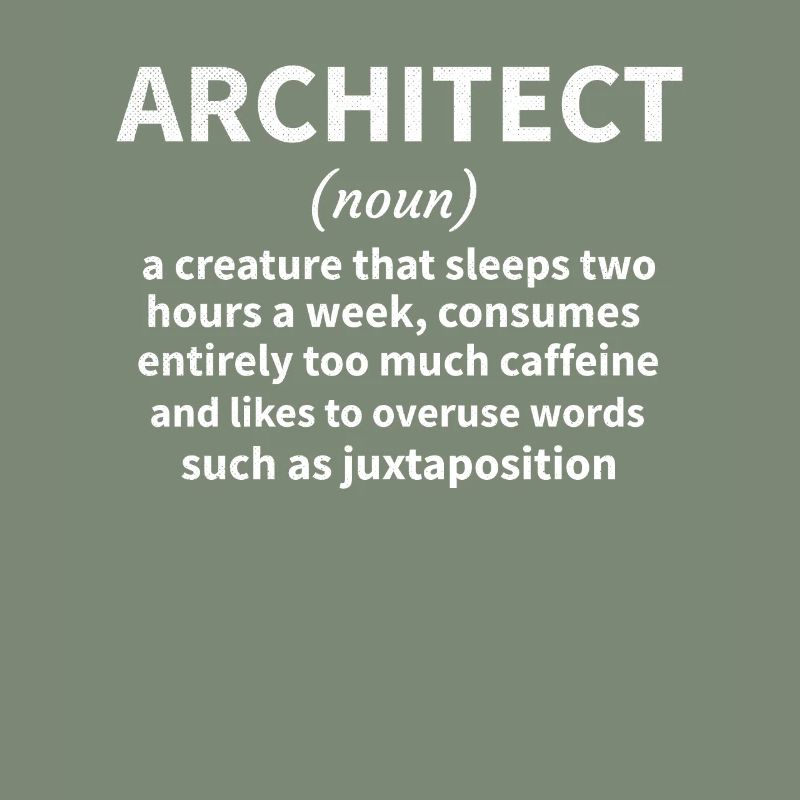 Architecture Gift Architecture Student Architect