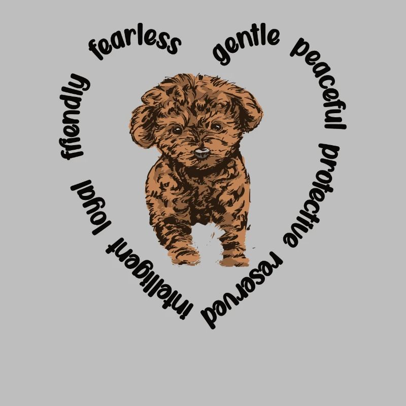 Cavapoo amoureux de chiens Cavoodle Mama Cavapoo