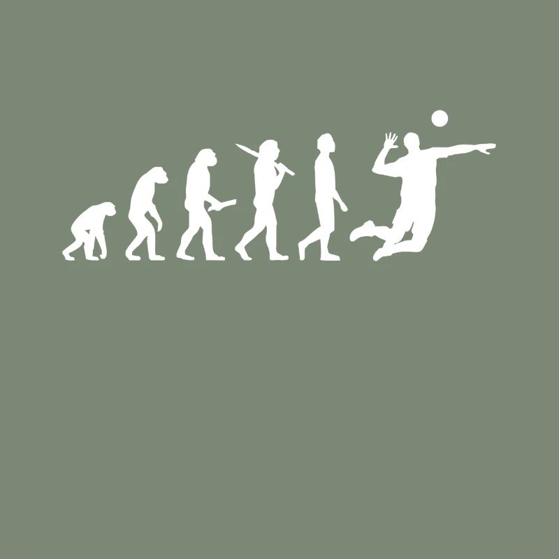 Evolution volleyeuse