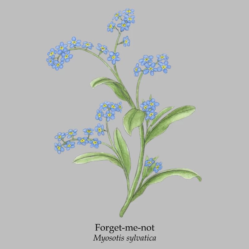 Pas de fleurs