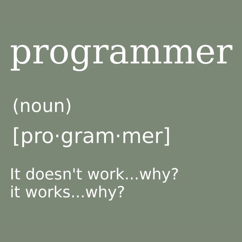 Programmer Computer Scientist Programming Humor