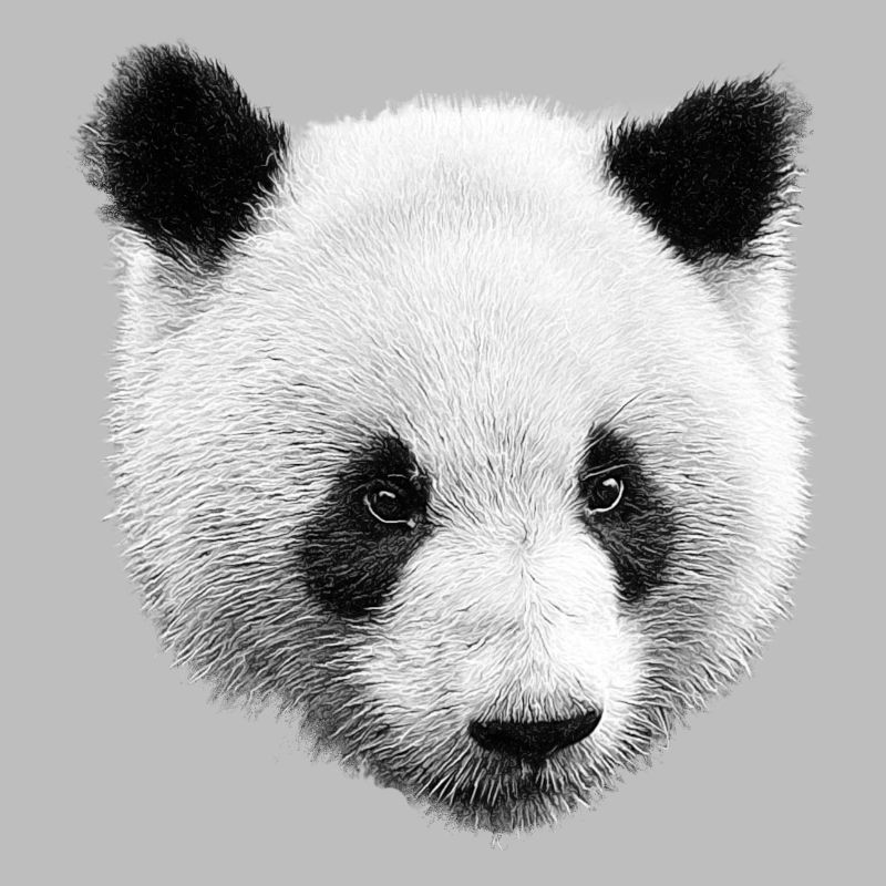 Panda Noir Blanc