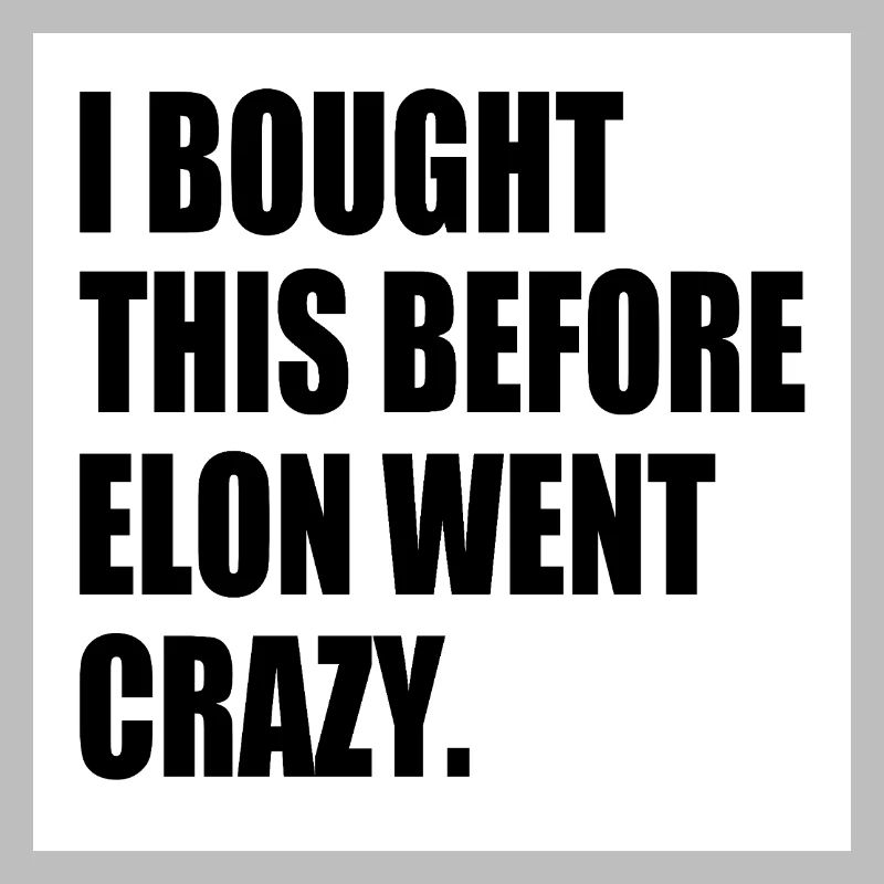 i bought this before elon went crazy